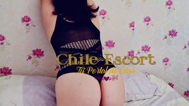 75943595-ef1d-4fb8-bcc9-a22c92d0fa62