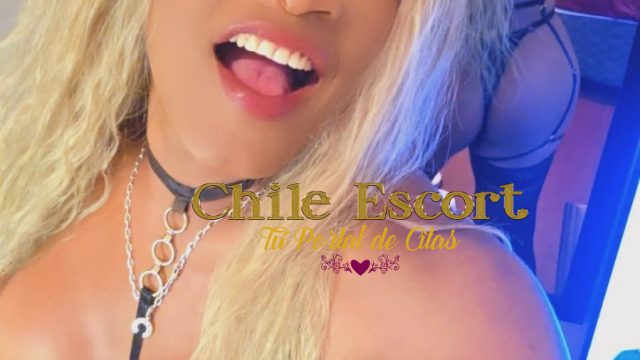 92021f27-9431-4849-bfaf-e80c5606d916