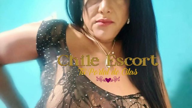 WhatsApp-Image-2026-02-06-at-13.39.51-1-1