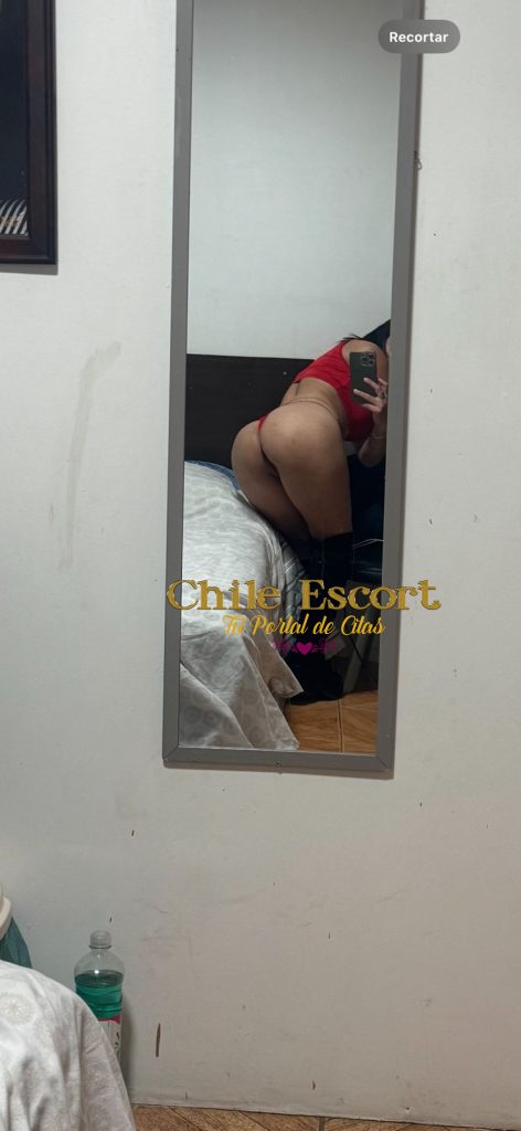 WhatsApp-Image-2026-02-06-at-20.26.44