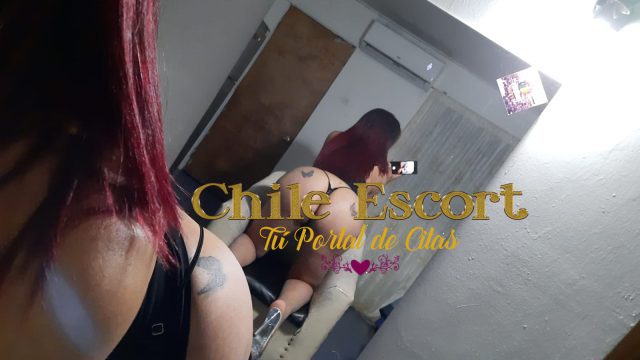 WhatsApp Image 2026-02-11 at 18.21.17