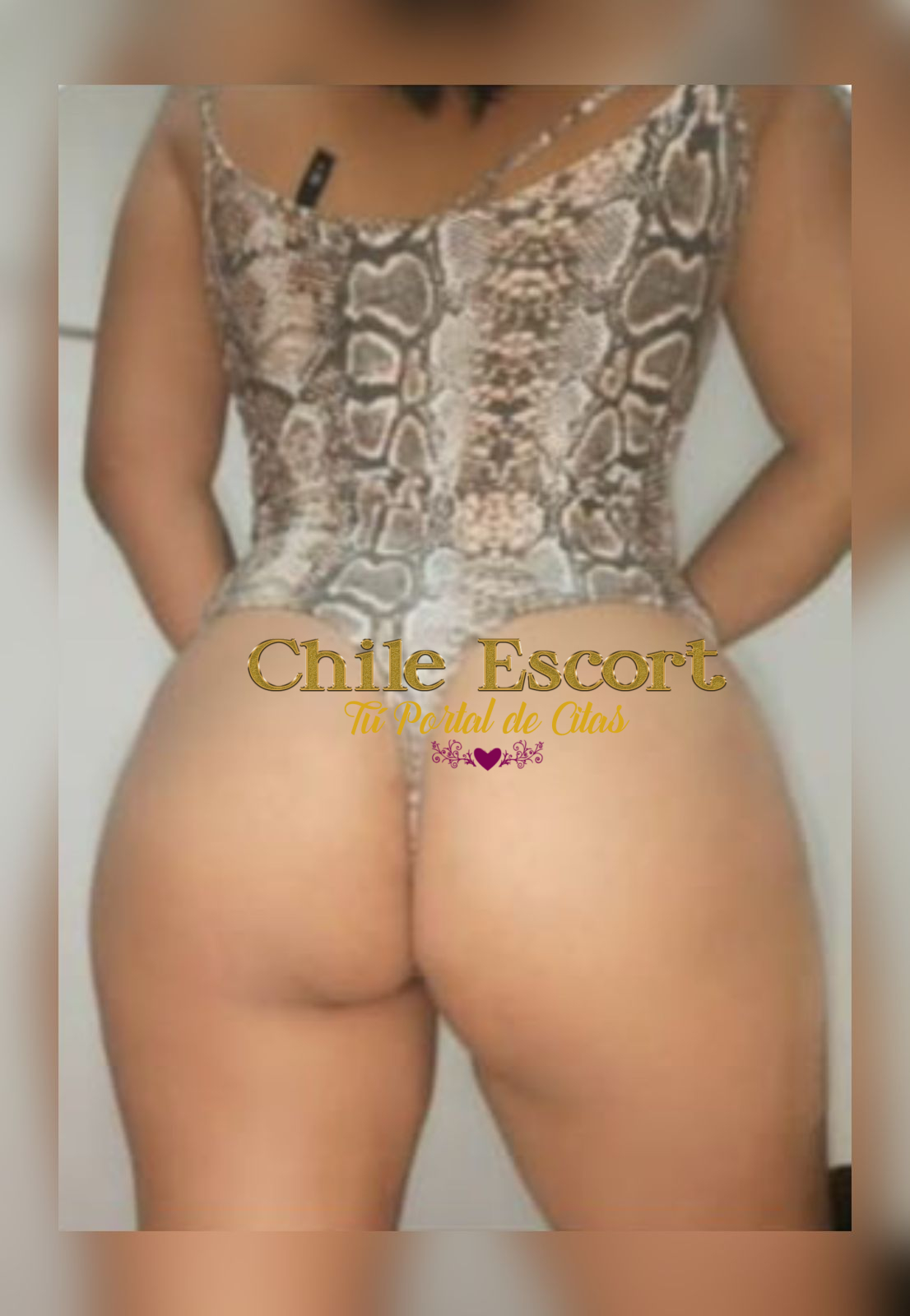 2b8c368a-b5fc-4975-a27a-d0004c58ca25