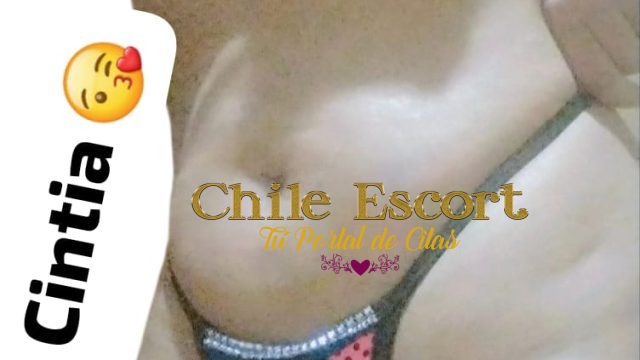 74f4b481-d733-430f-9b1d-08aba332d847