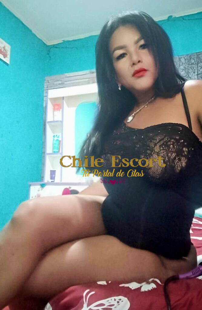 WhatsApp Image 2026-02-06 at 13.39.51 (2)